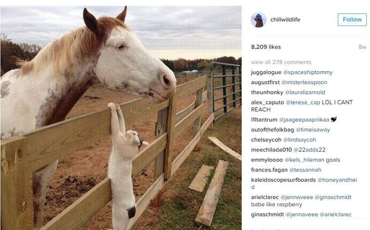 tetrapoda_instagramaccount_internal01.jpg