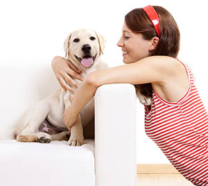 dogman4_300.jpg
