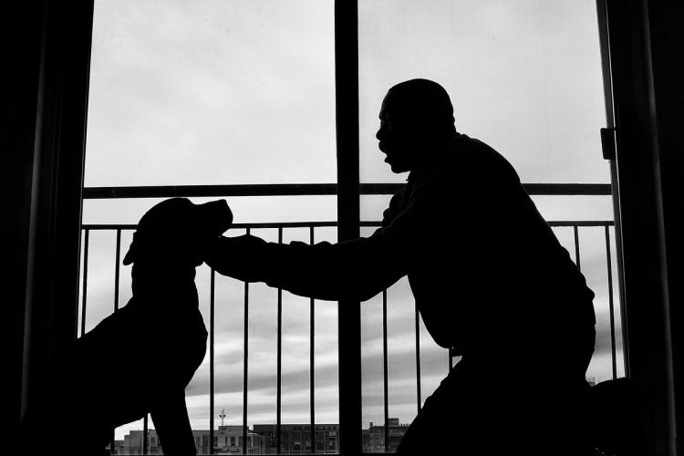GettyImages-633971992-HUD-SupportPet-1552580108-e1552580183495.jpg