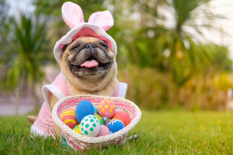 ULPS-easter-egg-shutterstock_397658416.jpg