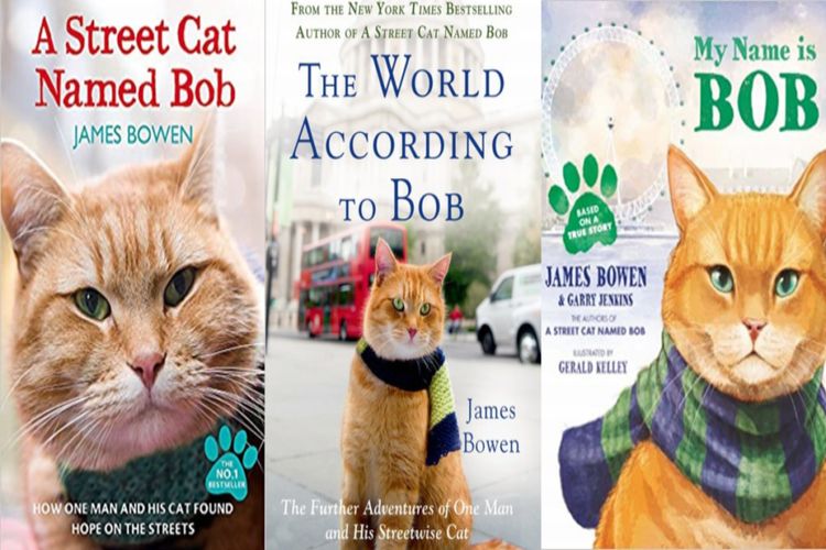 bob-books-collage-2-1024x484.jpg