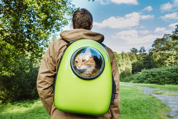 cat-backpack.jpg