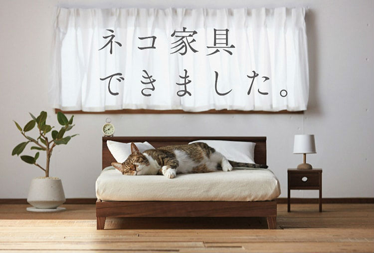 cat_furniture750.jpg