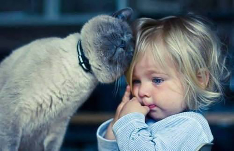 cats_kids1.jpg