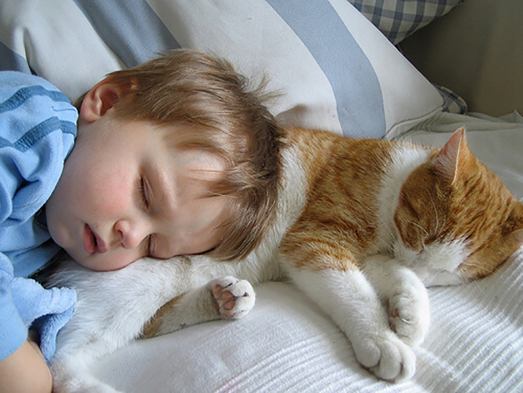 cats_kids2.jpg