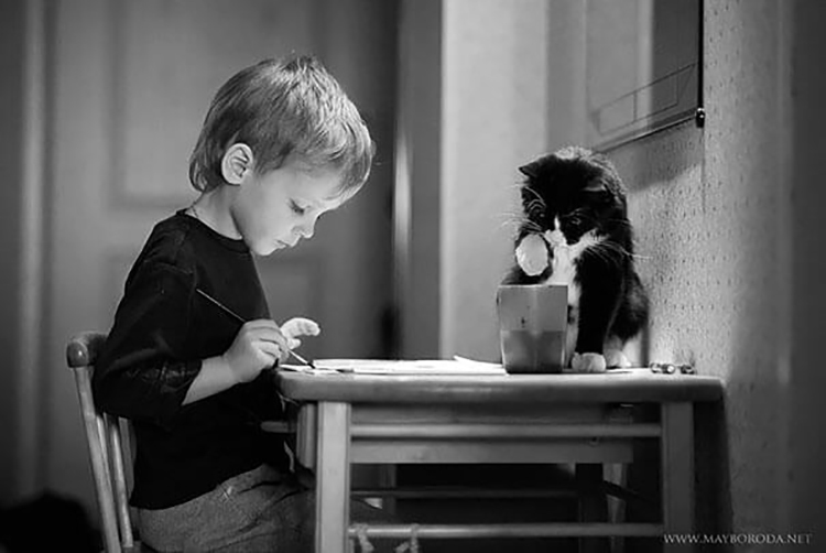 cats_kids3.jpg