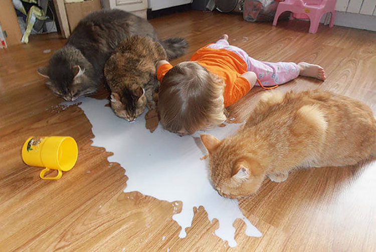 cats_kids4.jpg
