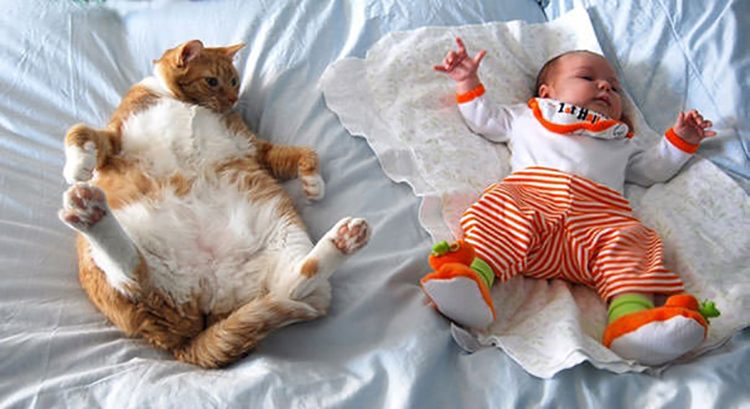 cats_kids5.jpg