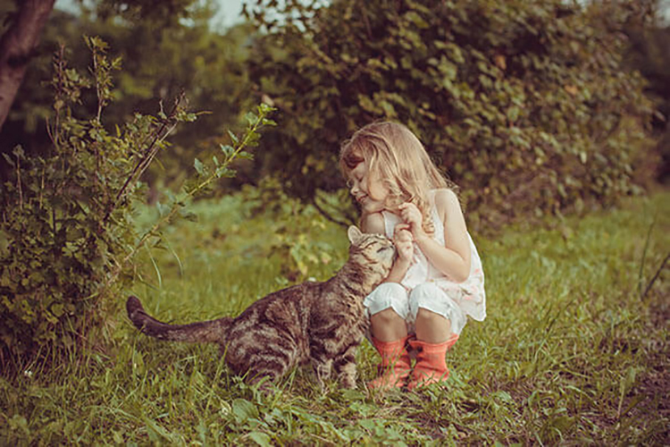 cats_kids6.jpg