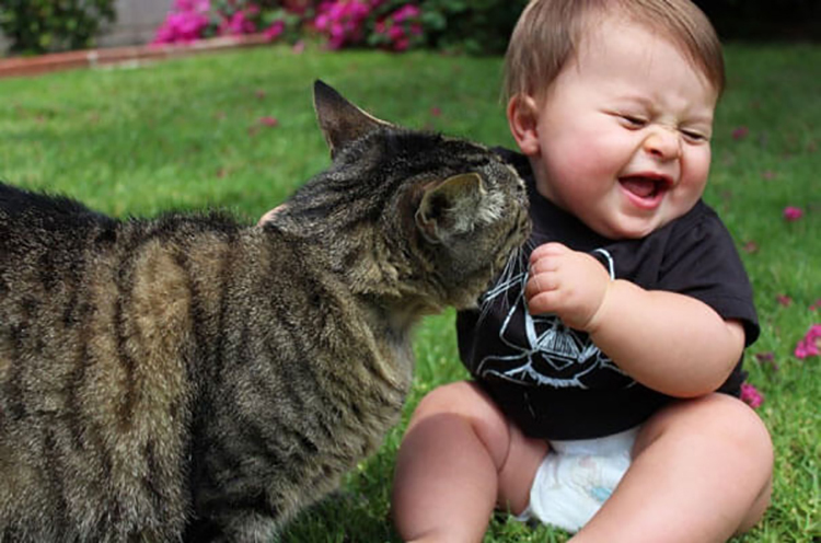 cats_kids7.jpg