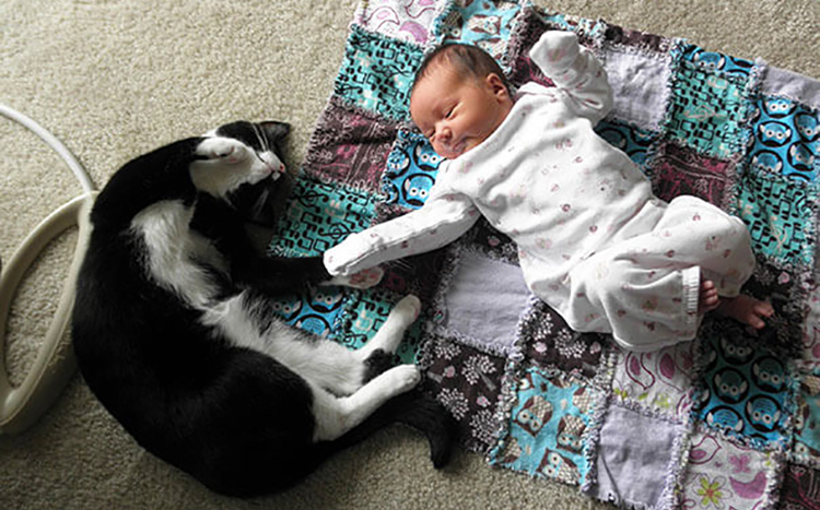 cats_kids750.jpg