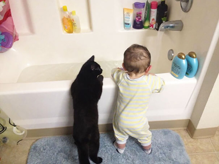 cats_kids8.jpg