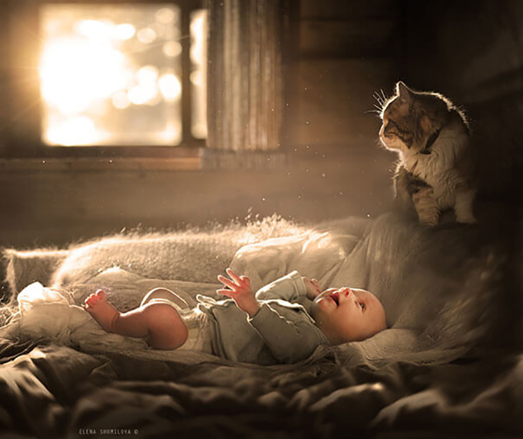 cats_kids9.jpg