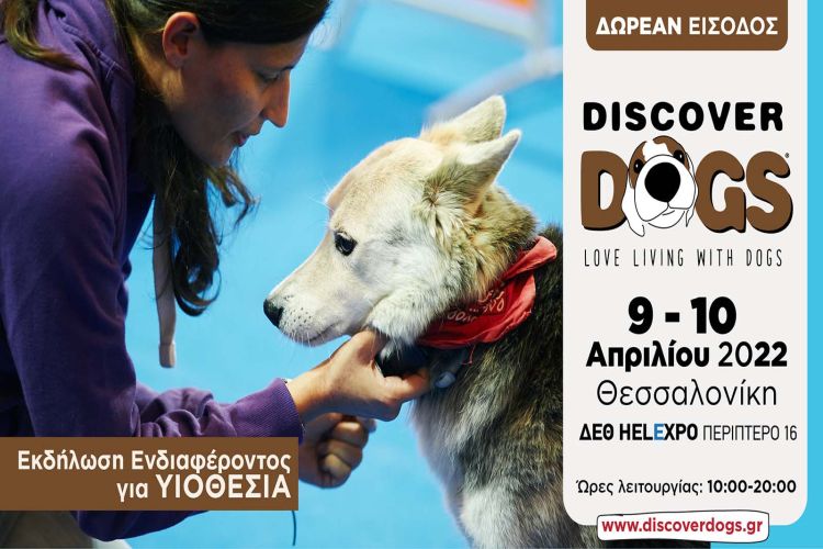 discover-dogs-ekdilosi-endiaferontos-gia-yiothesia-2022