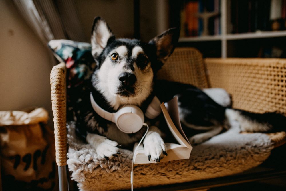 Η εκμάθηση της δεύτερης λέξης θα είναι πιο δύσκολη