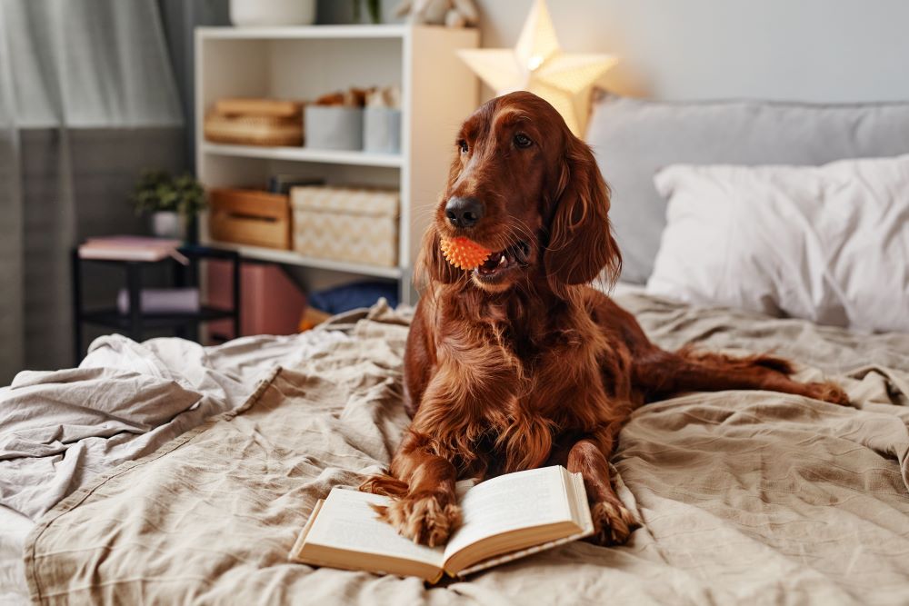 Η ανάγνωση μπορεί να προσδιορίσει τις ζώνες «απαγορευμένης κυκλοφορίας»