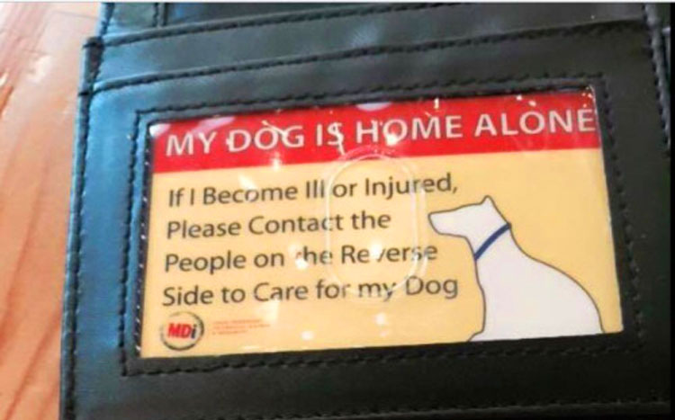 tetrapodo_doglover_04.jpg