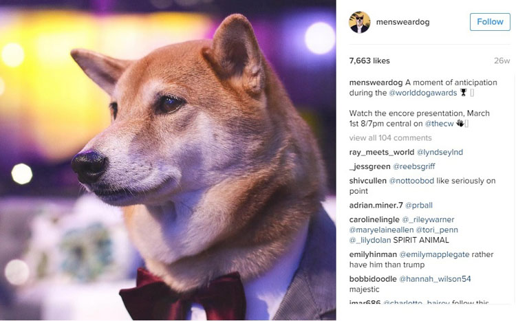 tetrapoda_instagramaccount_internal05.jpg